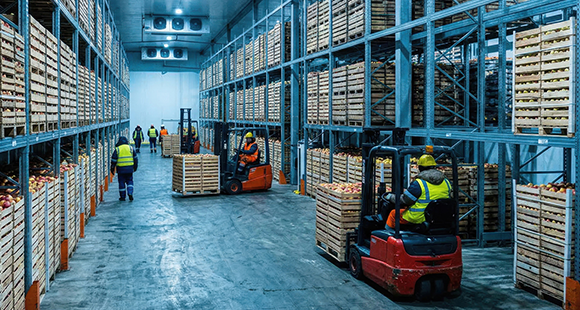 Interior for a food cold storage facility