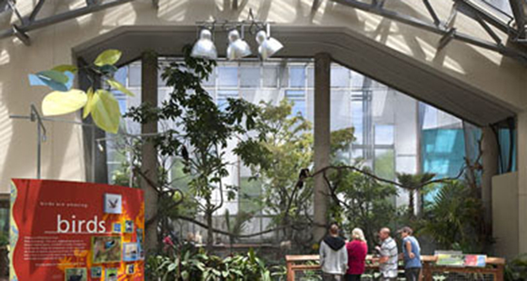 Philadelphia Zoo - Avian Center interior